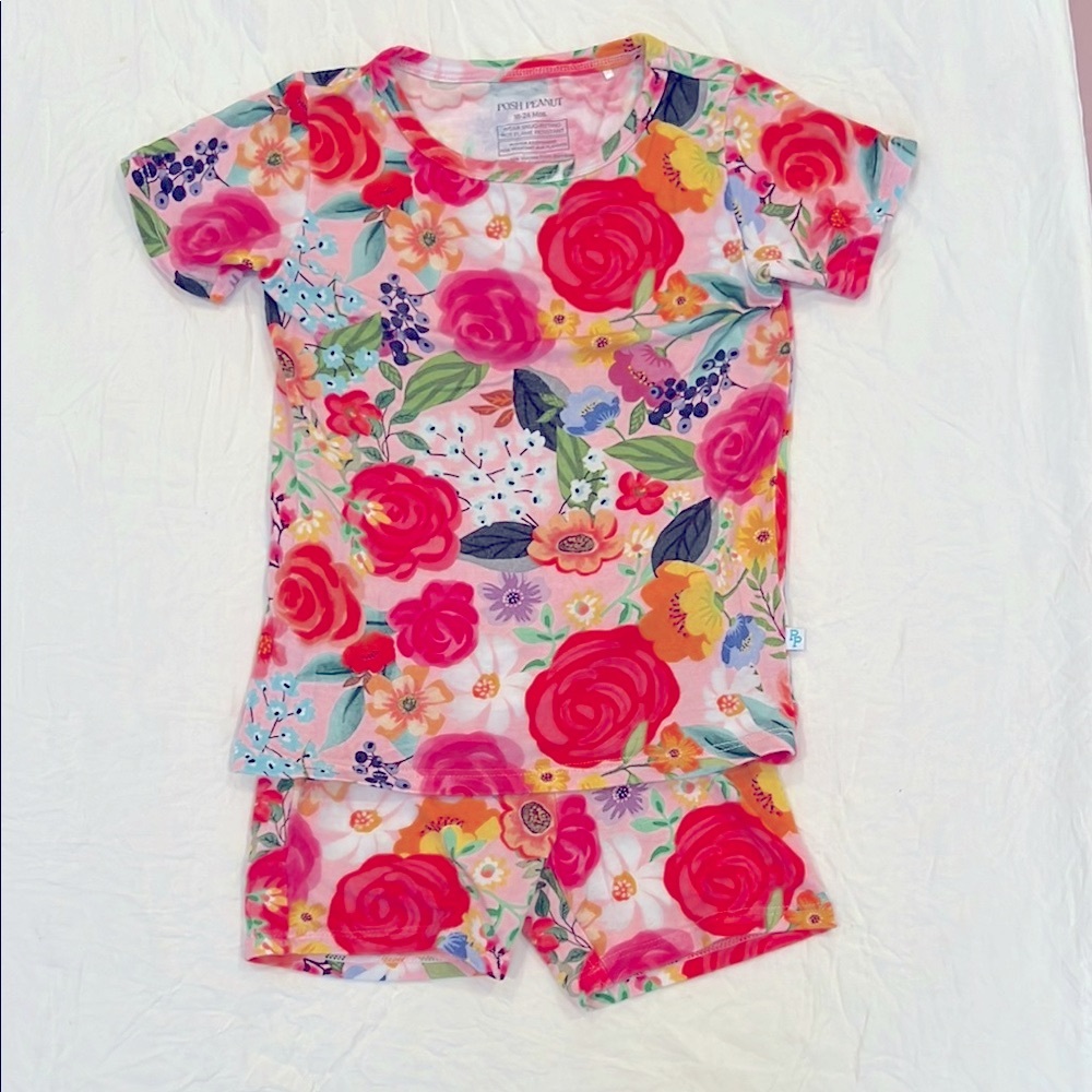 Posh Peanut Floral Kids Pajamas - Multicolor